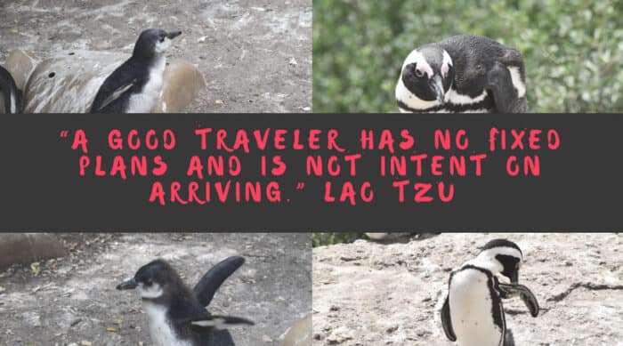 “A good traveler has no fixed plans and is not intent on arriving.”