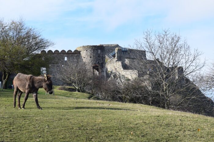Hrad Devin, Devin Castle, Bratislava, Slovakia