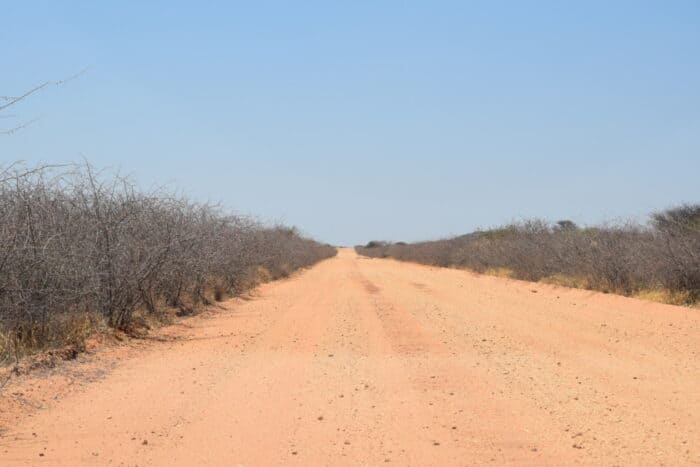 Cheetah Conservation Fund