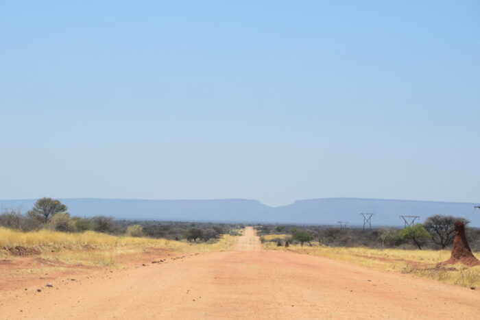 Cheetah Conservation Fund, Gravel Road, Otjiwarongo, Namibia