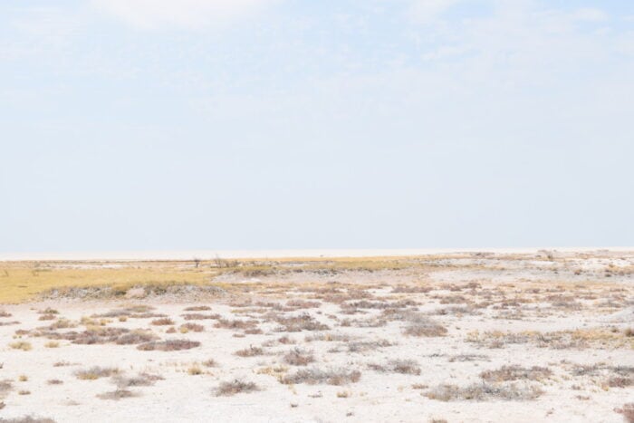 Etosha National Park, Namibia
