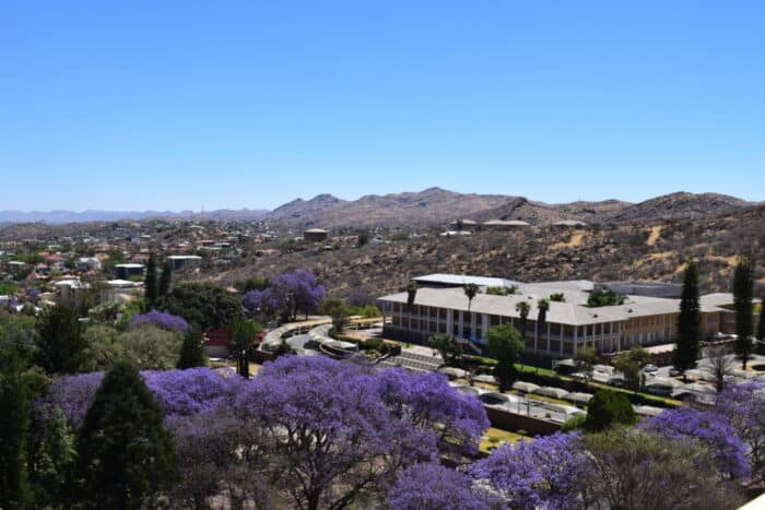 Parliament Gardens, Lizard, Windhoek, Namibia