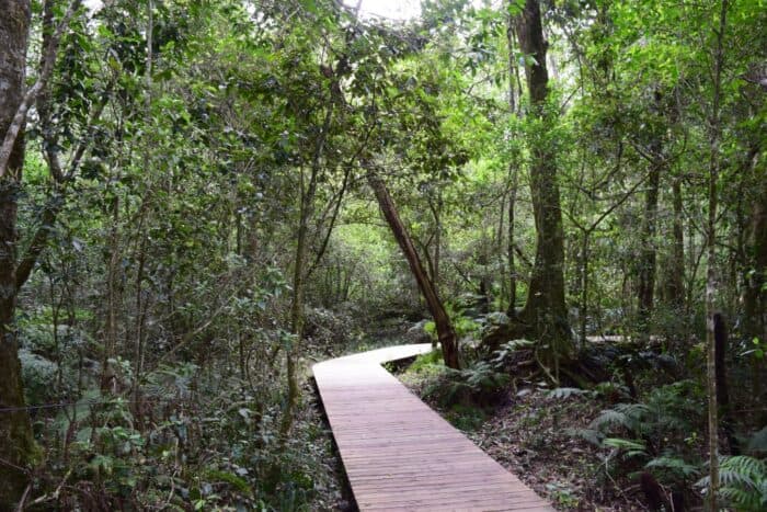 Garden of Eden, Plettenberg Bay, South Africa