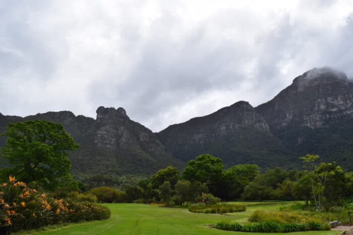 Botanischer Garten Kirstenbosch, Kapstadt, Südafrika, Tafelberges