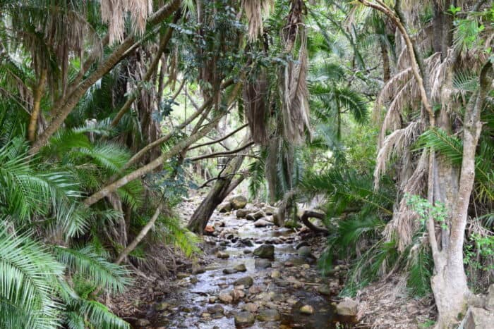 Kirstenbosch Botanical Garden, Cape Town, South Africa