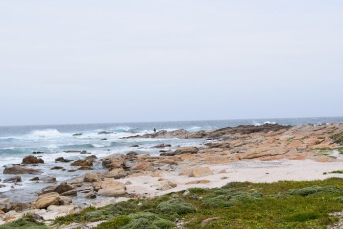 Cape St Francis, Port Elizabeth, South Africa