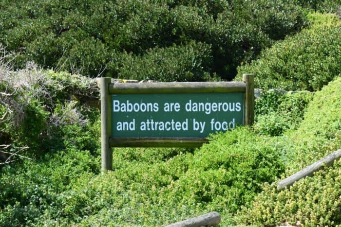 Baboons are dangerous and attracted by food, Sign, Cape Point, South Africa