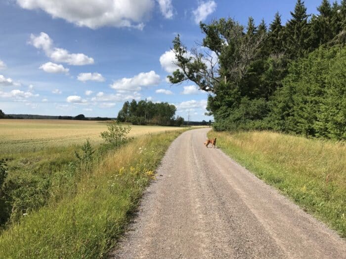 Lundbyvägen, Lundby, Vagnhärad, Sweden, ਸਵੀਡਨ, स्वीडन
