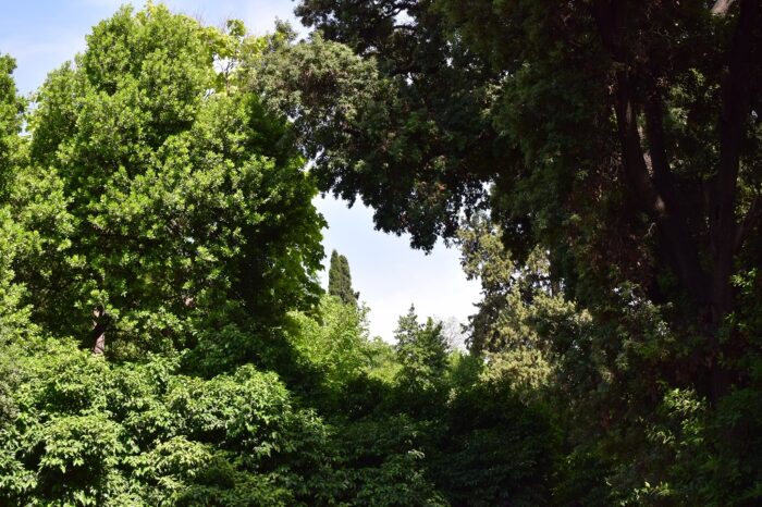 Visiting Athena, Athens, Greece, National Garden, Royal Garden, Εθνικός Κήπος