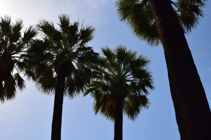 Visiting Athena, Athens, Greece, National Garden, Royal Garden, Εθνικός Κήπος