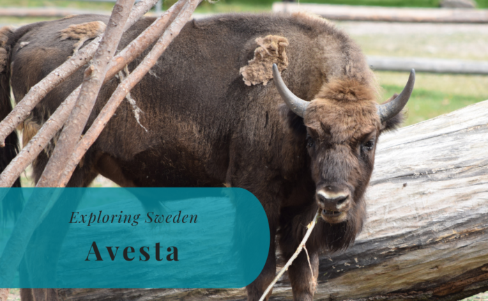 Avesta, Dalarna, Exploring Sweden