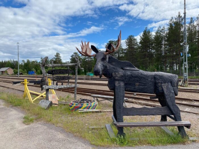 Arvidsjaur, Lappland, Sweden, Älg, Moose, Elk