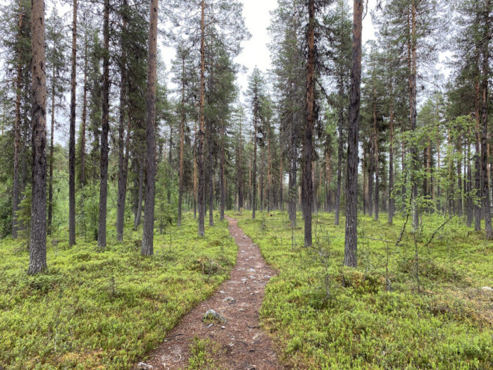 Moddus National Park, Sweden