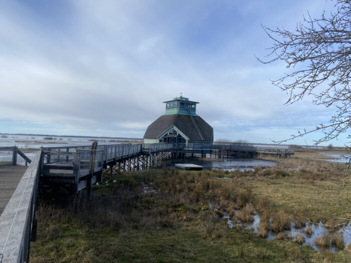 Broddetorp, Västergötland, Sweden, Hornborgasjön