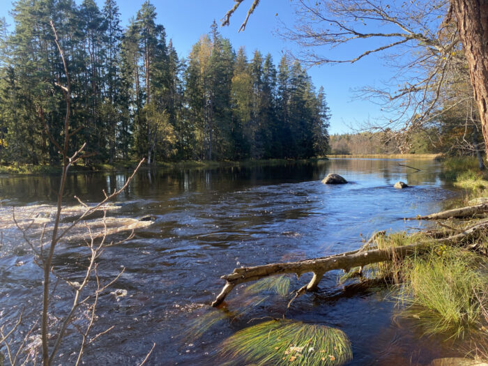 Mattön, Gästrikland, Sweden, Färnebofjärdens Nationalpark