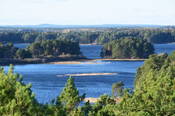 Skekarsbo, Uppland, Sweden, Färnebofjärdens Nationalpark