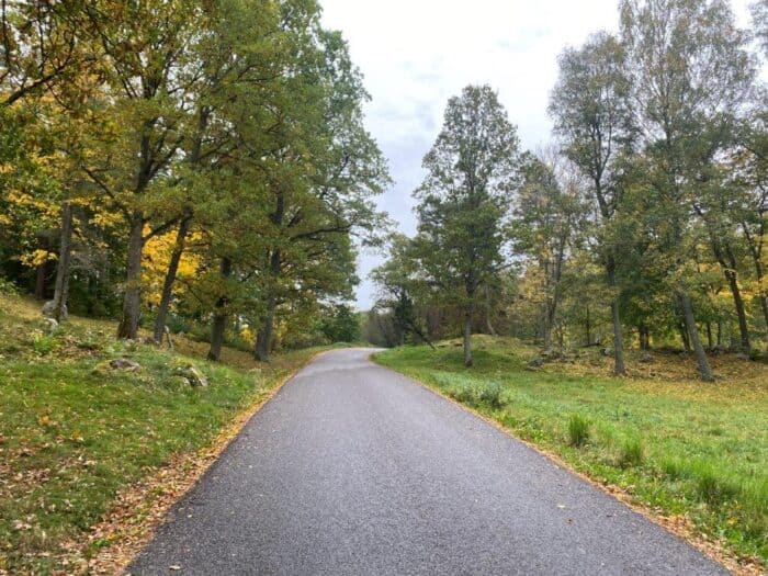 Sigurdsristningen, Södermanland, Sweden