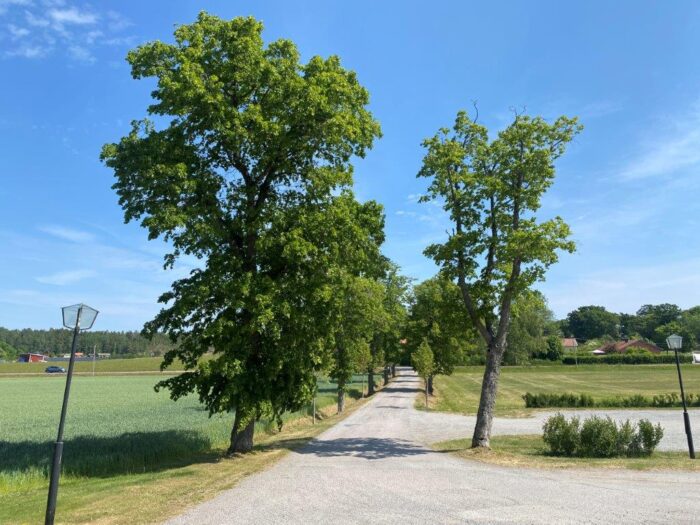 Hölö Kyrka, Södermanland, Sweden