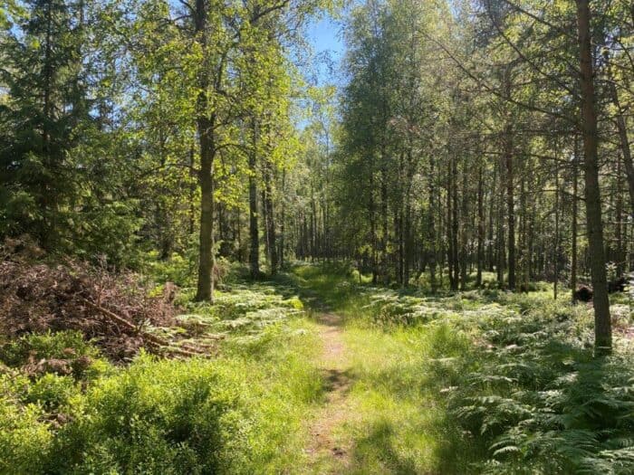 Långbergen, Saltvik, Åland