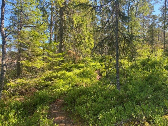 Långbergen, Saltvik, Åland