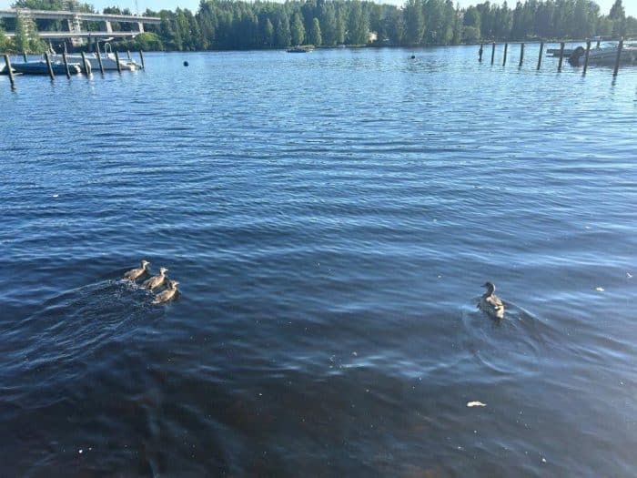 Heinola, Finland