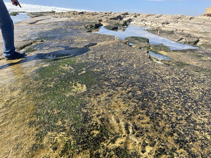 Anza, Morocco, Dinosaur Footprint, Geopark
