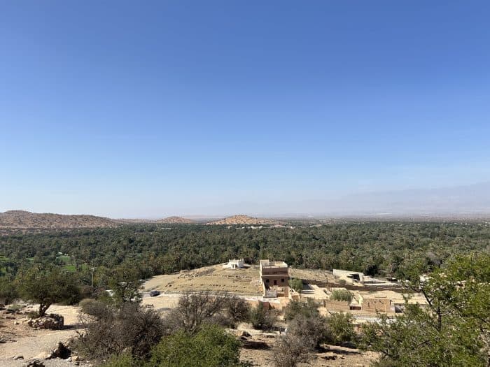Tiout, Morocco, Oasis