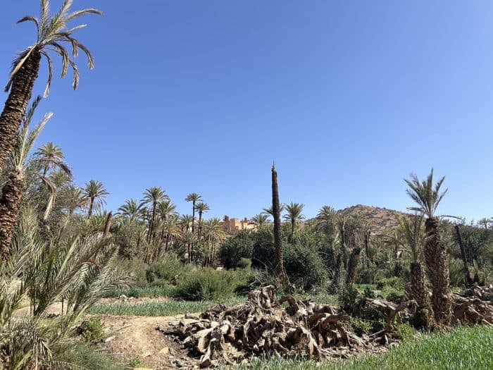 Tiout, Morocco