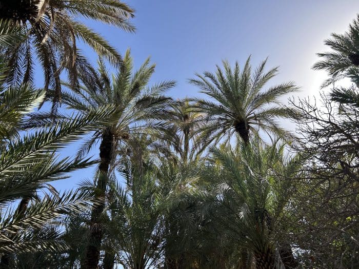Tiout, Morocco