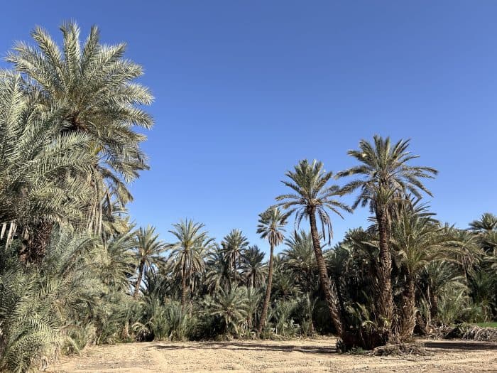 Tiout, Morocco
