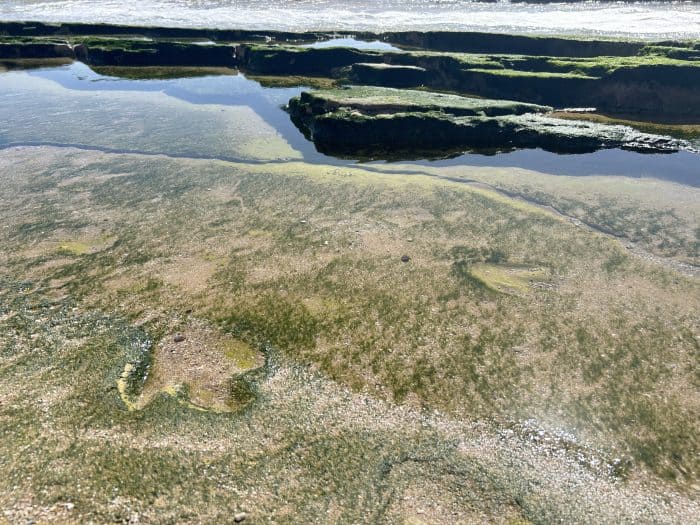Anza Beach, Morocco, Dinosaur Footprints