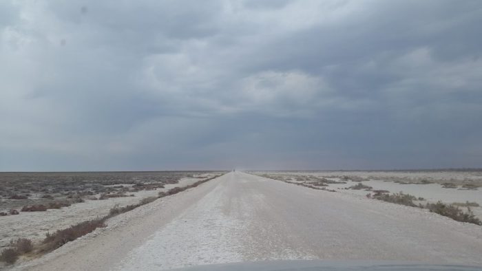 Etosha National Park, Namibia