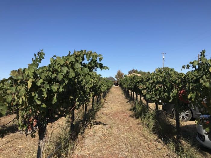 Livermore, California, United States