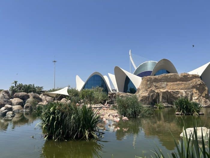Oceanogràfic, Valencia, Spain