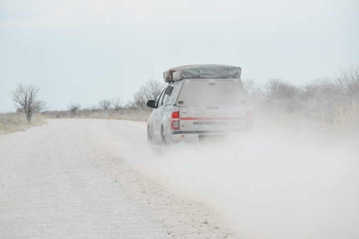 Etosha National Park, Namibia