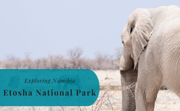 Etosha National Park, Exploring Namibia