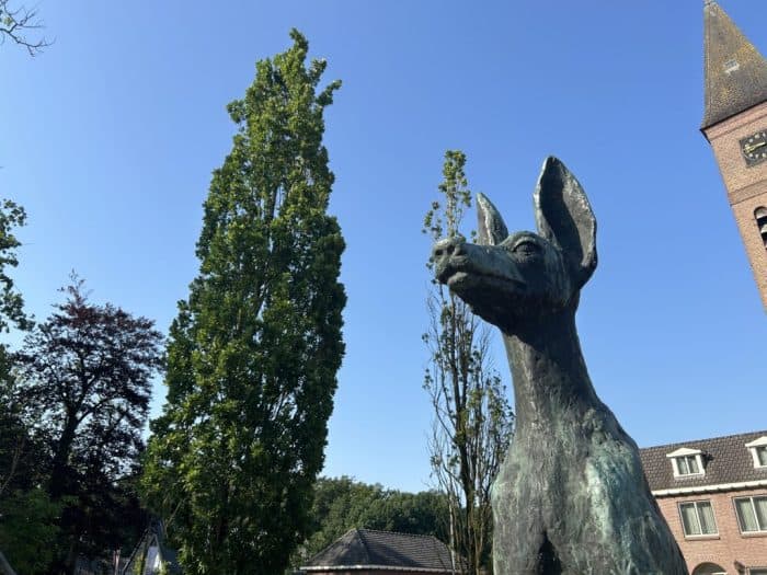 De Lutte, Netherlands