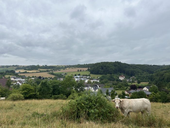 Brecht, Rhineland-Palatinate, Germany