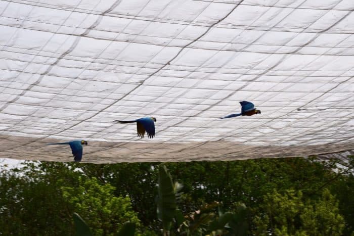 Birds of Eden, South Africa