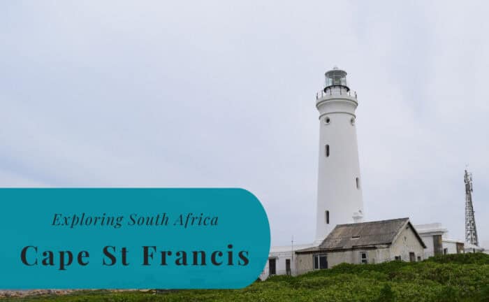 Cape Saint Francis, Exploring South Africa