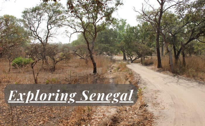 Exploring Senegal
