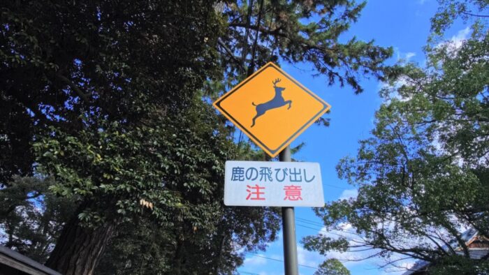 Korea-Japan 2026, Nara, Japan