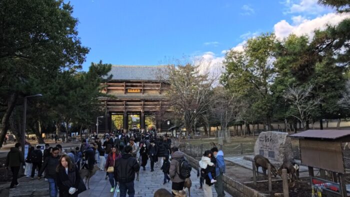 Korea-Japan 2026, Nara, Japan