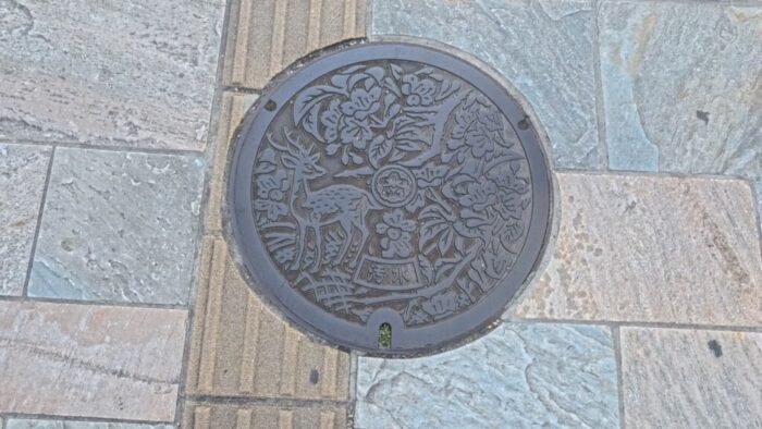 Korea-Japan 2026, Nara, Japan