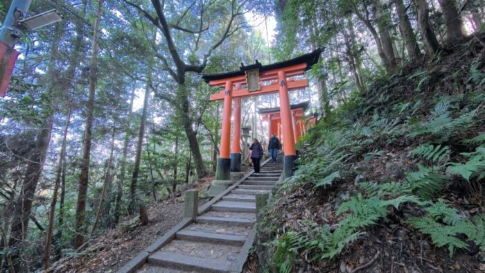 Korea-Japan 2026, Fushimi Ward, Kyoto, Japan, Fushimi Inari Taisha