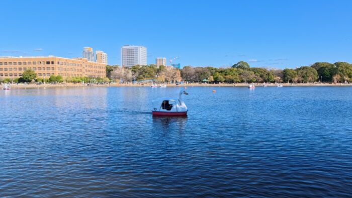 Korea-Japan 2026, Ohori Park, Chuo Ward, Fukuoka, Japan