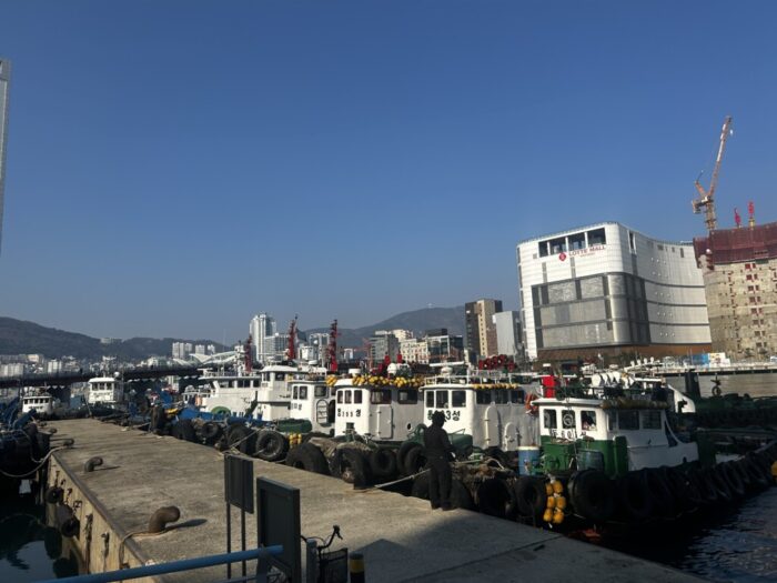 Korea-Japan 2026, Daegyo-dong, Yeongdo-gu, Busan, Busan, South Korea